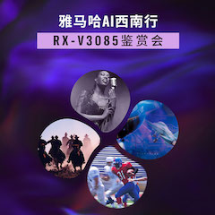 利来国际AGAi西南行·重庆站·RX-V3085鉴赏会